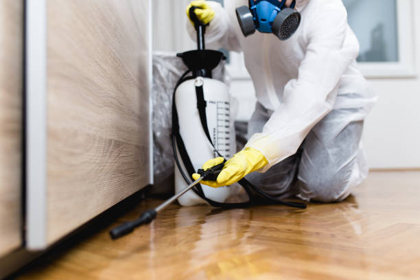 Best Spider Control Near Me  in Roseville, OH