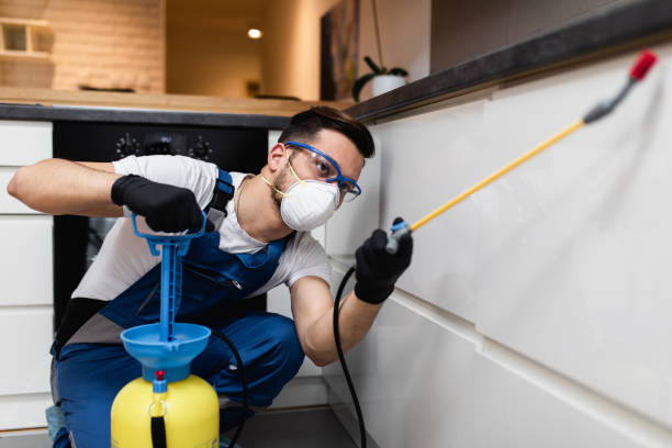 Best Pest Inspection Near Me  in Roseville, OH