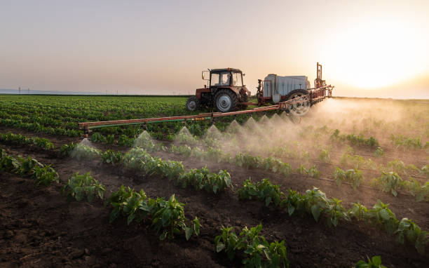 Best Mosquito Control Services  in Roseville, OH