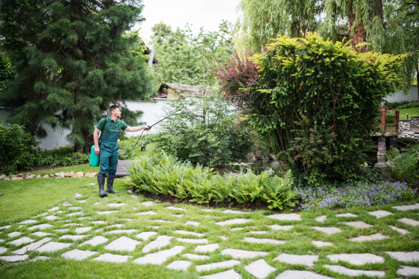 Best Affordable Pest Control Services  in Roseville, OH