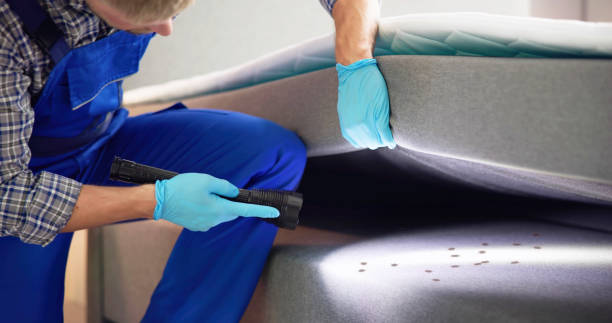 Pest Prevention Services in Roseville, OH